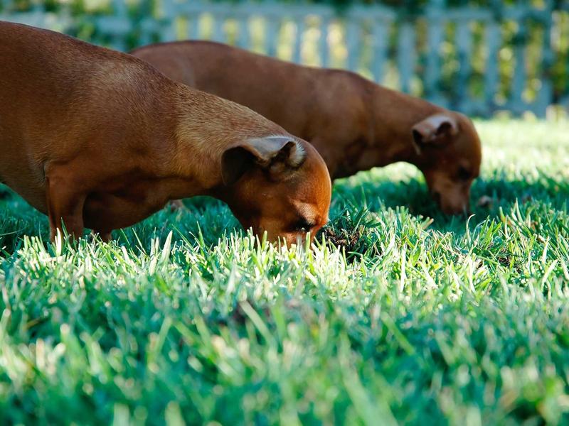 sudoku friend challenge screenshot 5